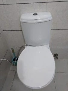 Dual Flush Toilets