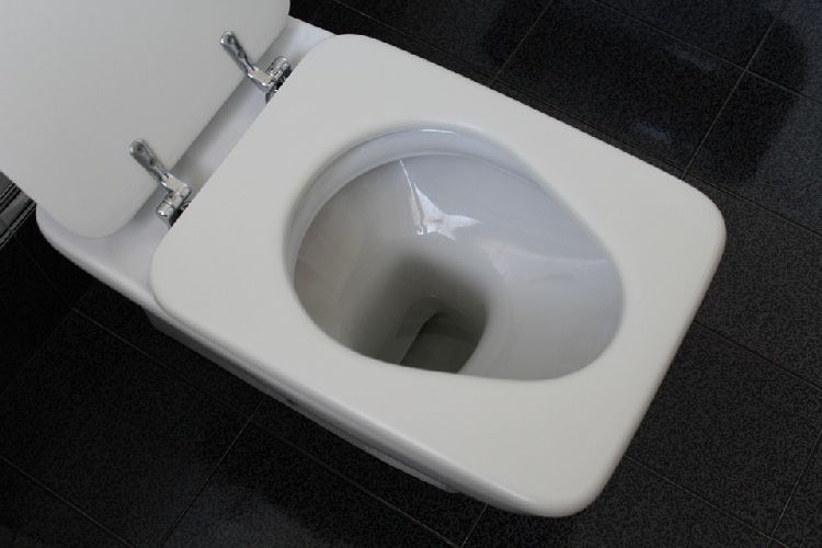 Types of Toilets