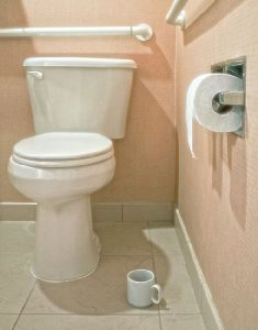 Single Flush Toilets