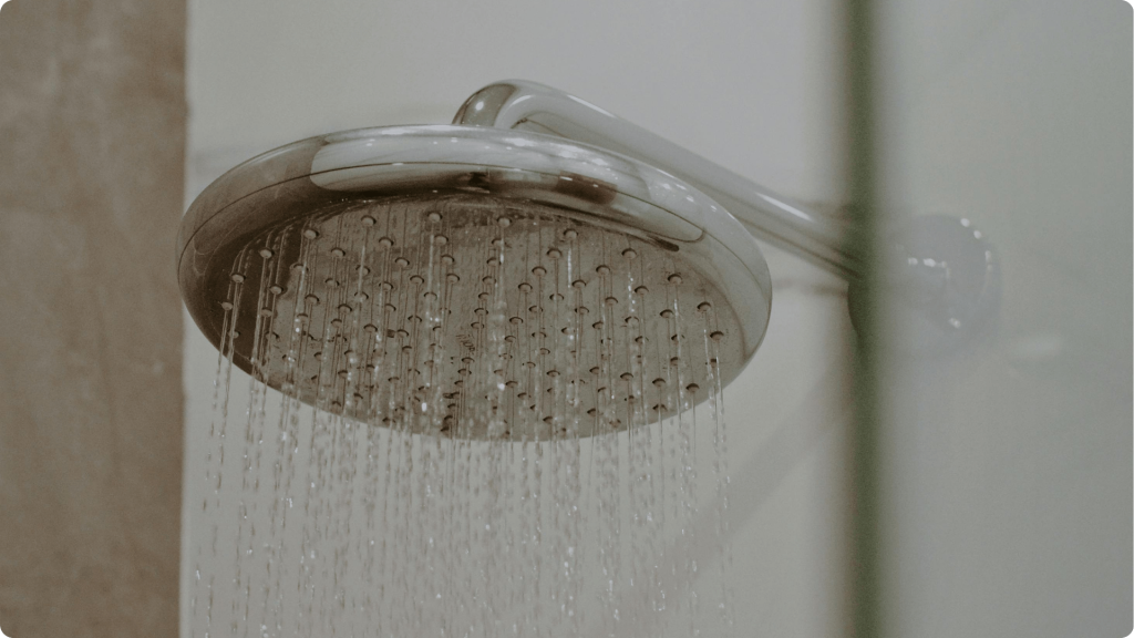 best filtered shower head